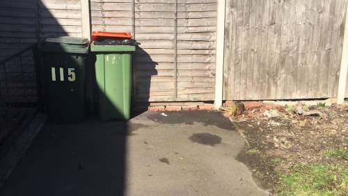 Professional waste removal services in action